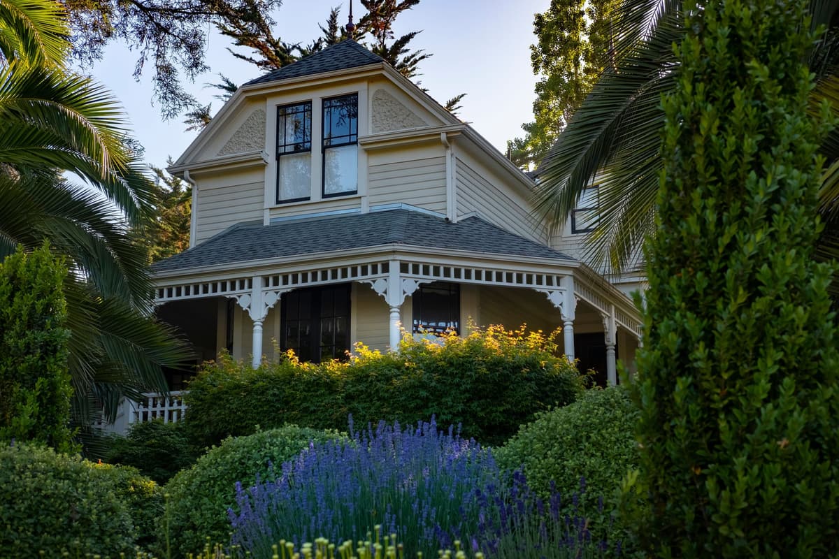 Front garden with lavender and clipped shrubs below a house